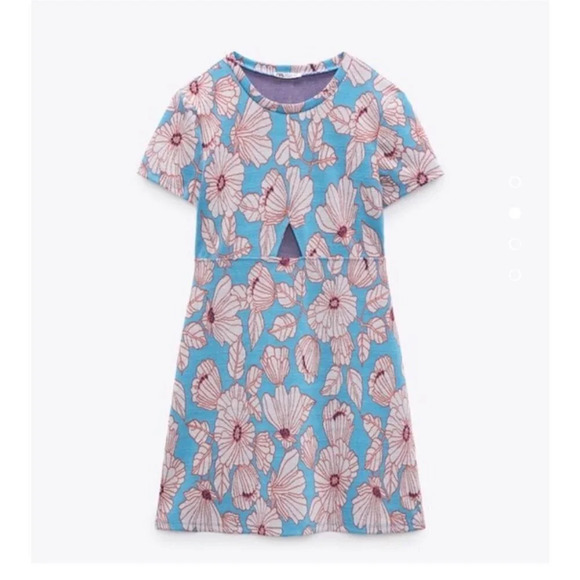 Zara Blue and Pink Floral Mini Dress - Picture 2 of 7